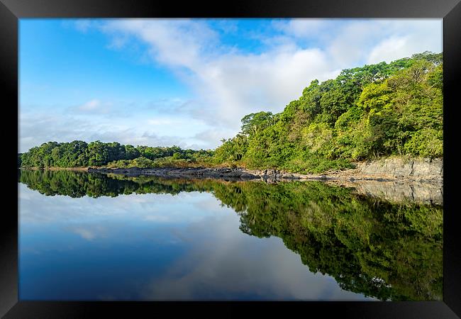Essequibo river Framed Print by Gail Johnson