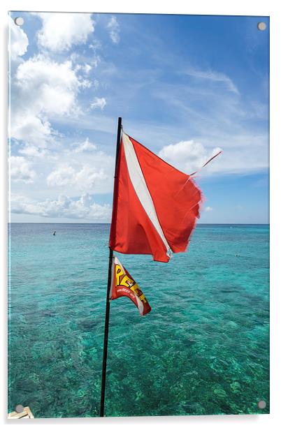 Kura Hulunda dive flag Acrylic by Gail Johnson