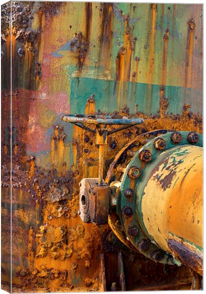 Rust Canvas Print by Gail Johnson