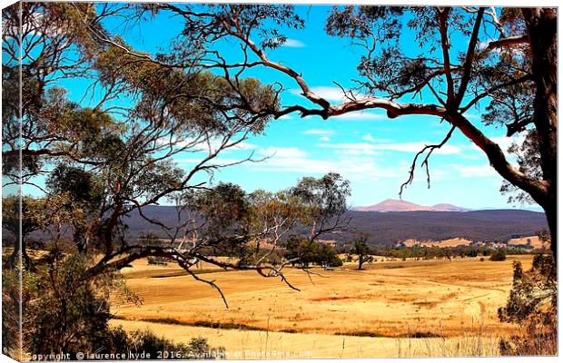 Outback Harvest field Canvas Print by laurence hyde