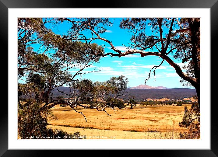 Outback Harvest field Framed Mounted Print by laurence hyde