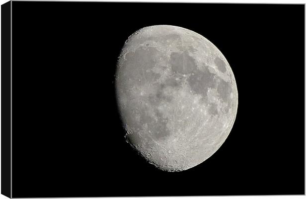 moonlighting Canvas Print by phil pace