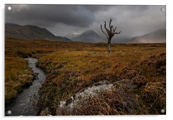 Rannoch Moor Highlands Acrylic by Eddie John