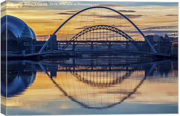 Bridges over the Tyne Canvas Print by David Pringle