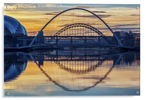 Bridges over the Tyne Acrylic by David Pringle