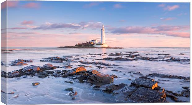 St Mary's Lighthouse Sunrise Canvas Print by Andy Redhead
