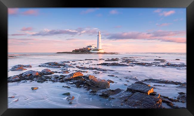 St Mary's Lighthouse Sunrise Framed Print by Andy Redhead