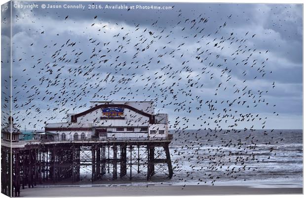 North Pier Starlings Canvas Print by Jason Connolly
