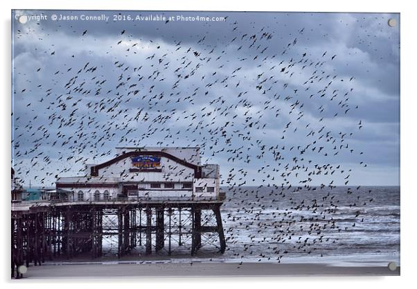 North Pier Starlings Acrylic by Jason Connolly