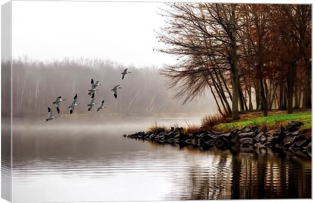 Fog On The Lake Canvas Print by Tom York