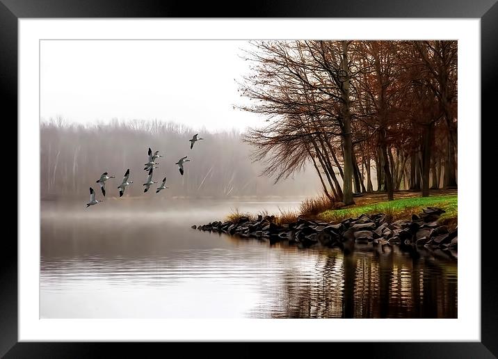 Fog On The Lake Framed Mounted Print by Tom York