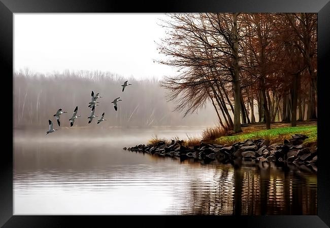 Fog On The Lake Framed Print by Tom York