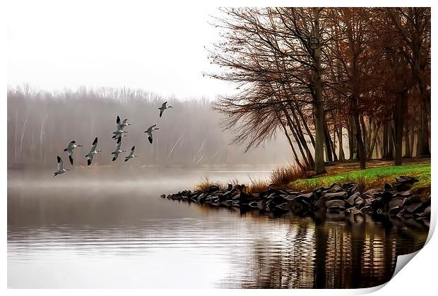 Fog On The Lake Print by Tom York