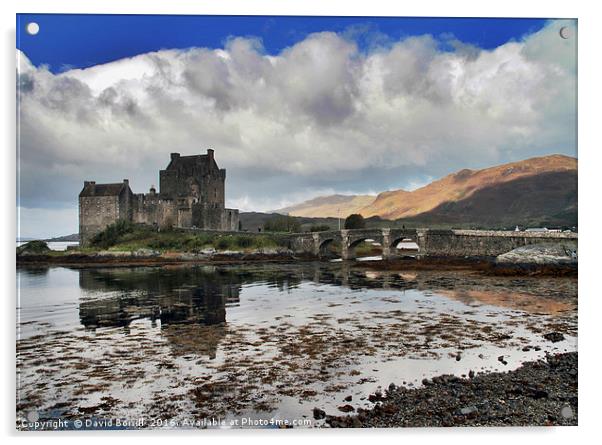 Eilean Donan Castle Acrylic by David Borrill
