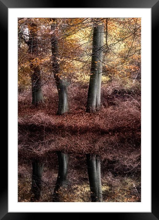 Autumn Reflections Framed Mounted Print by Ann Garrett