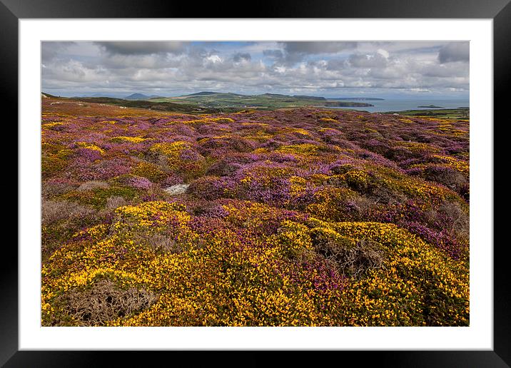 Braich y Pwll Framed Mounted Print by Thomas Schaeffer