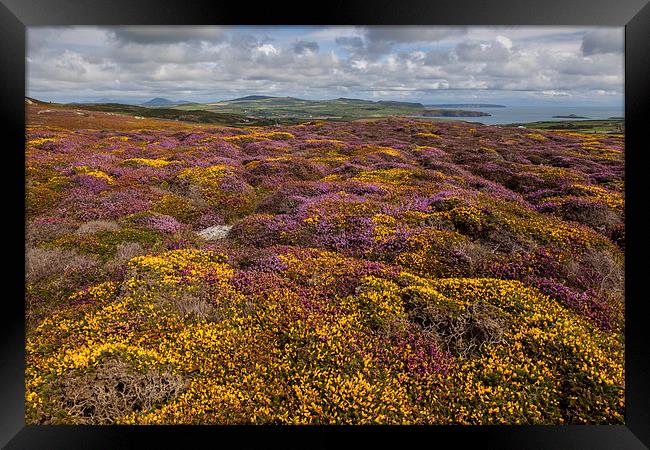 Braich y Pwll Framed Print by Thomas Schaeffer