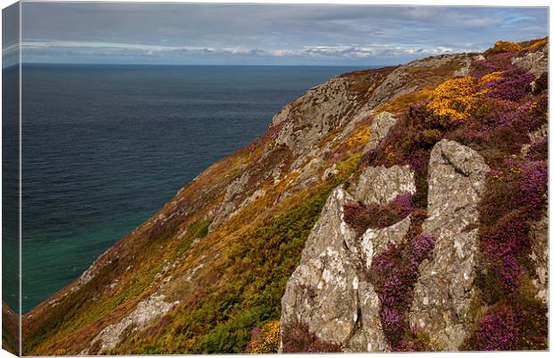 Braich y Pwll Canvas Print by Thomas Schaeffer