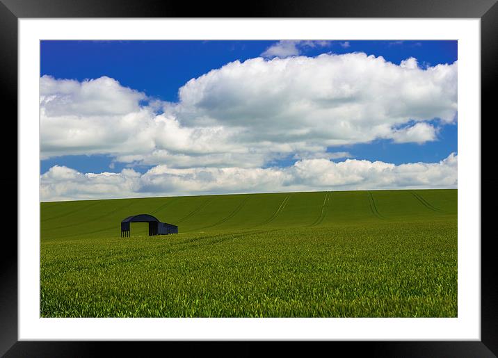 Lone barn in a corn field  Framed Mounted Print by Shaun Jacobs