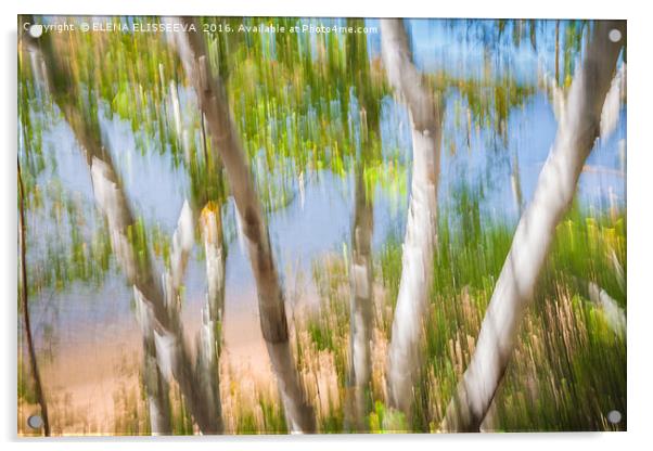 Birch trees on lake shore Acrylic by ELENA ELISSEEVA