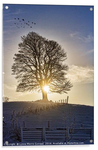 A Lone Tree In Winter Acrylic by Lynne Morris (Lswpp)