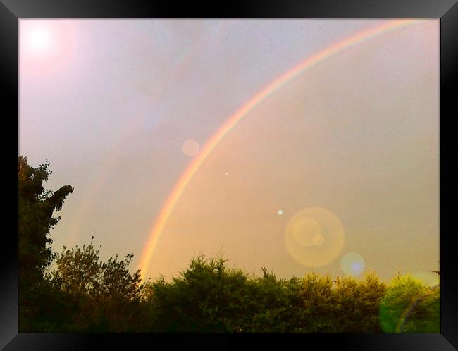 Lens Flared Forest Rainbow Framed Print by Ian Lockwood