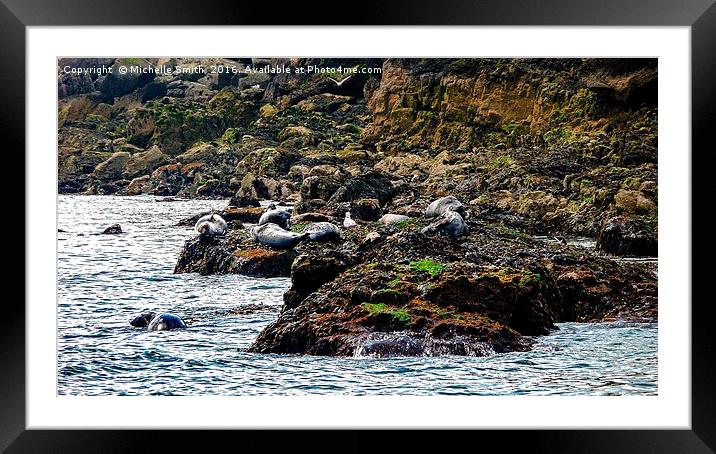 Spot the seals Framed Mounted Print by Michelle Smith