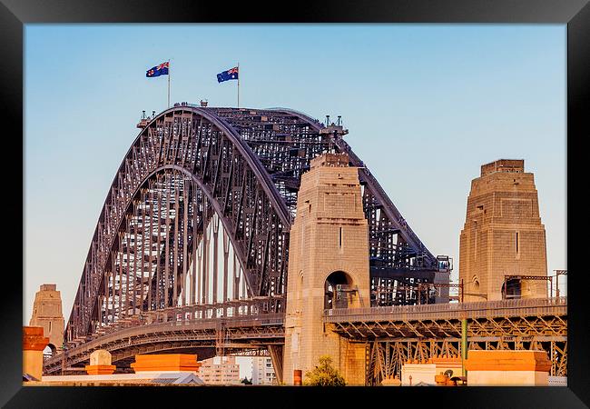 Sydney Harbour Bridge Framed Print by Ray Shiu