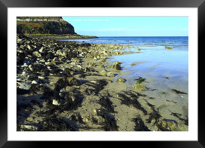 ROCKY SHORELINE Framed Mounted Print by andrew saxton