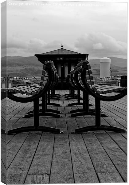 TAKE A SEAT Canvas Print by andrew saxton