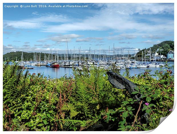Tarbert Harbour Argyll and Bute Print by Lynn Bolt