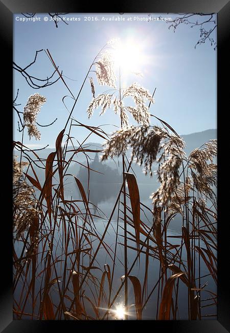 The early morning sun shining through reeds Framed Print by John Keates