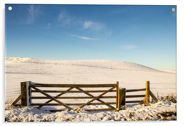 A Winter Gate Acrylic by Lynne Morris (Lswpp)