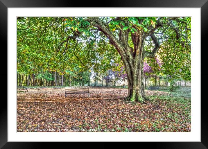 Eglinton Park in Autumn Framed Mounted Print by Valerie Paterson