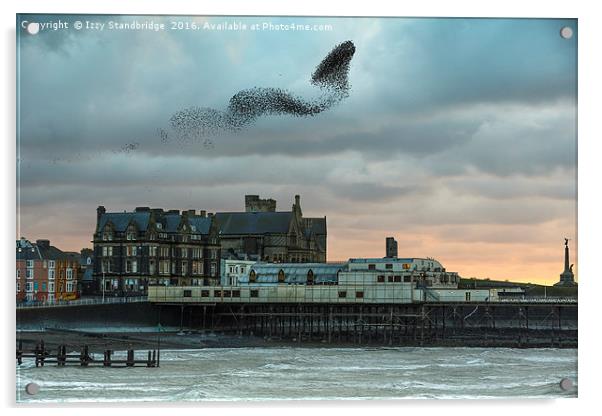 Starlings at Aberystwyth pier Acrylic by Izzy Standbridge