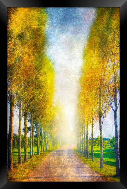 Autumn Framed Print by Svetlana Sewell