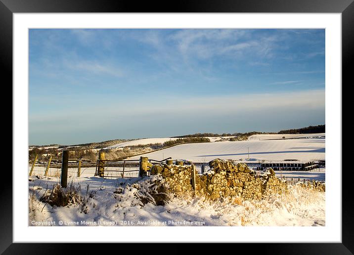 Winter In The Country Framed Mounted Print by Lynne Morris (Lswpp)