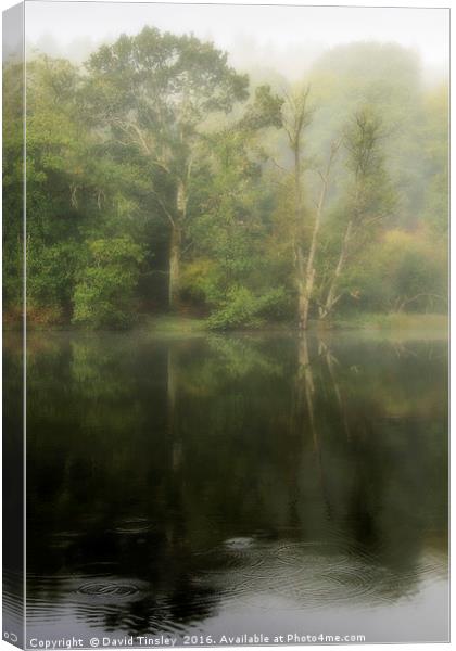 Misty Reflections Canvas Print by David Tinsley