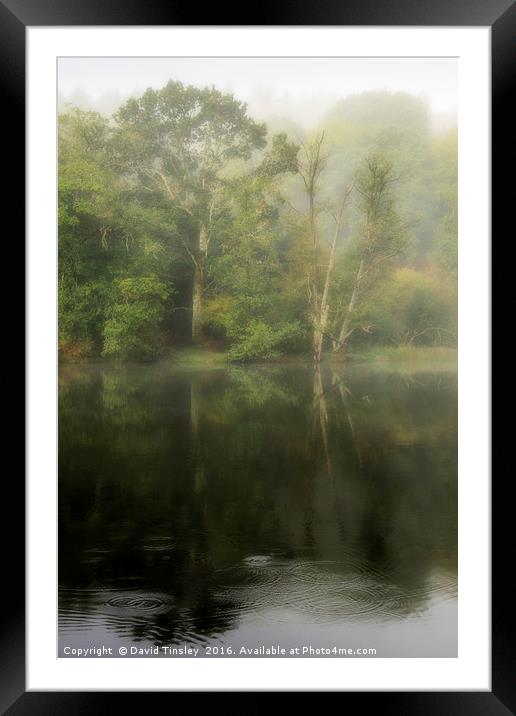 Misty Reflections Framed Mounted Print by David Tinsley