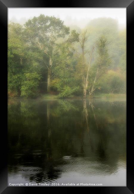 Misty Reflections Framed Print by David Tinsley