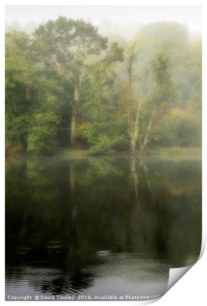 Misty Reflections Print by David Tinsley