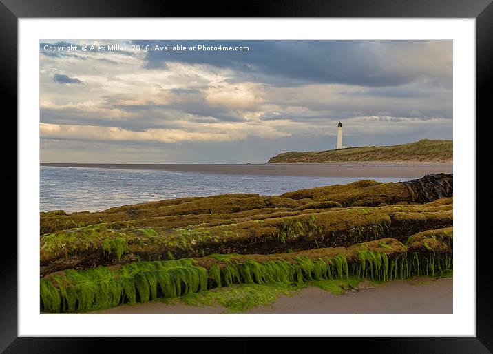 Covesea Lighthouse Framed Mounted Print by Alex Millar
