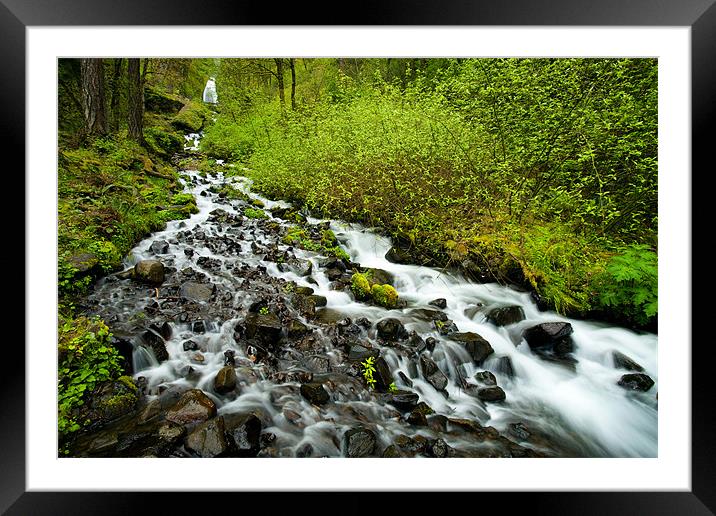 Spring Cascades Framed Mounted Print by Mike Dawson