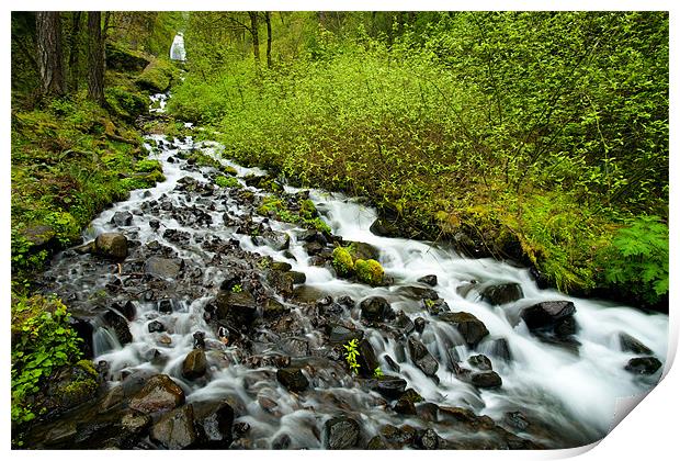 Spring Cascades Print by Mike Dawson