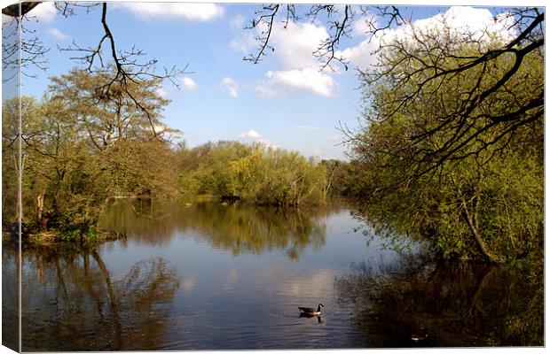 Little Britain lake Canvas Print by Chris Day
