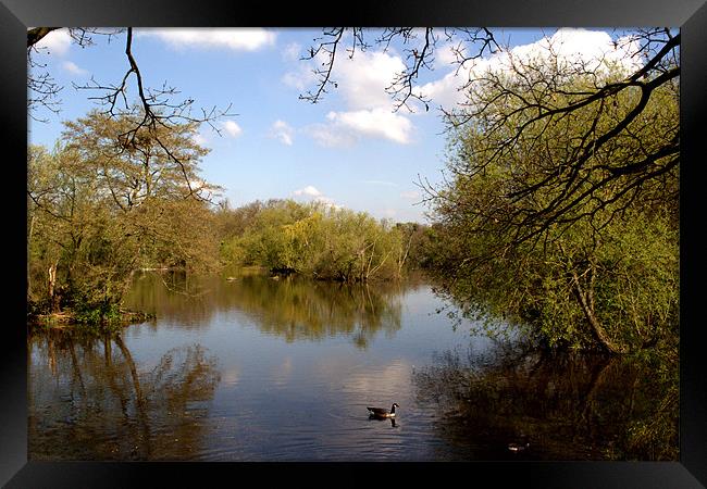 Little Britain lake Framed Print by Chris Day