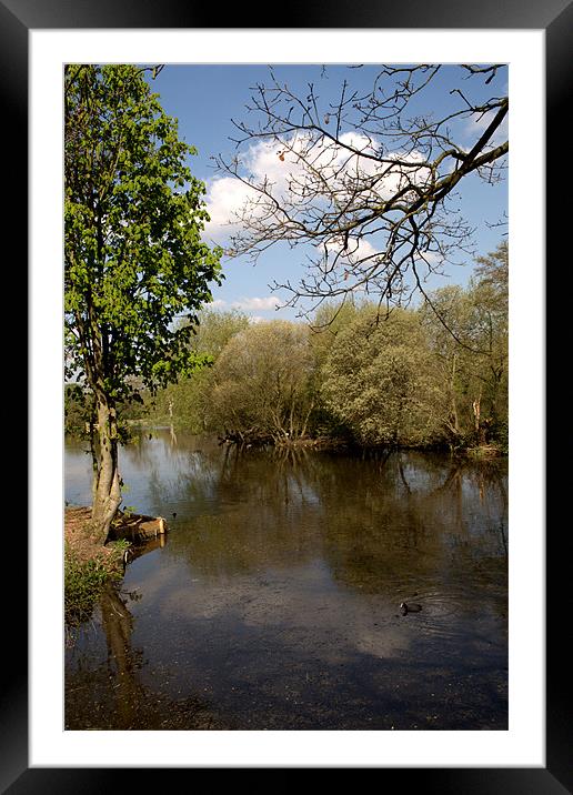 Little Britain lake Framed Mounted Print by Chris Day
