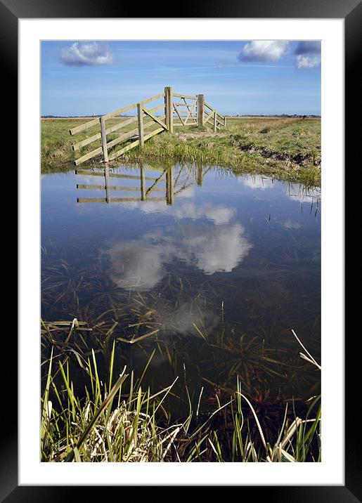 Upton Marshes Framed Mounted Print by Stephen Mole