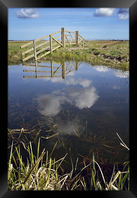 Upton Marshes Framed Print by Stephen Mole