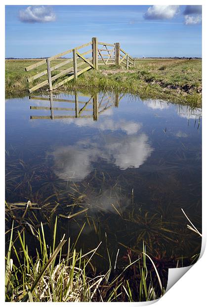 Upton Marshes Print by Stephen Mole